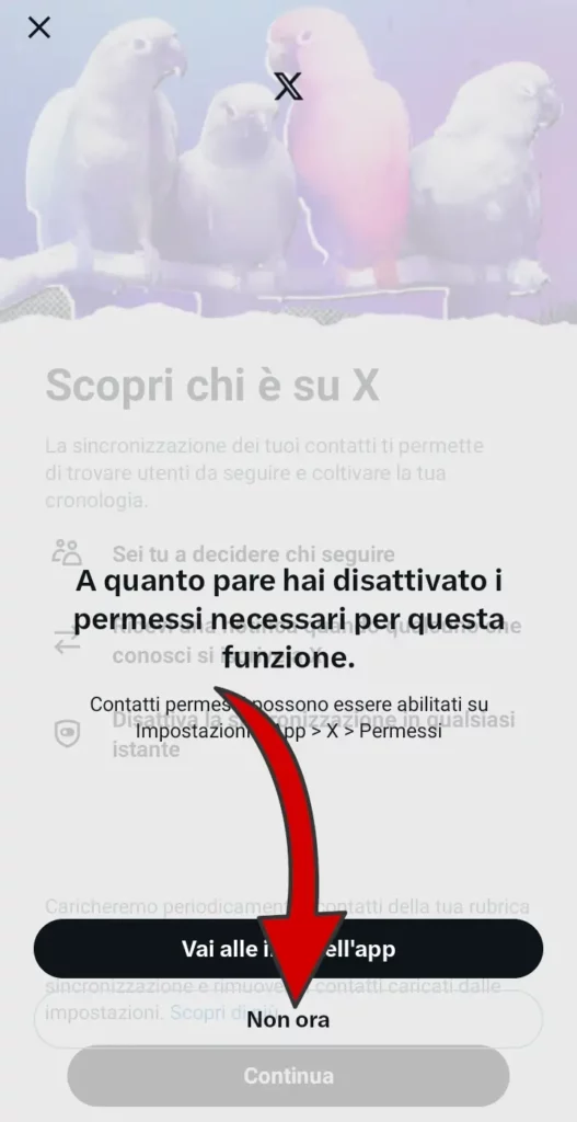 Puoi anche saltare la sincronizzazione dei contatti cliccando non ora.