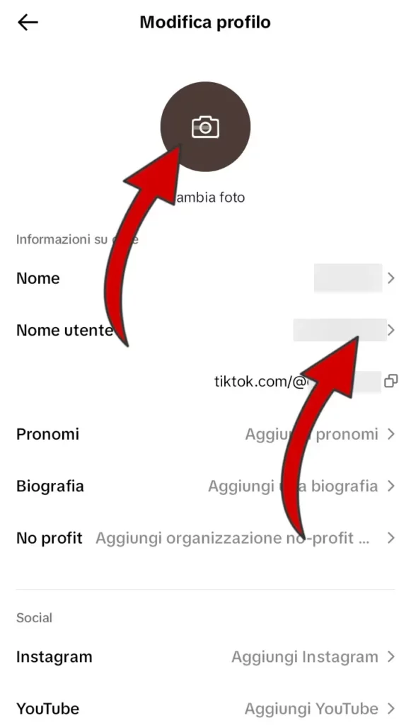 Inserisci un immagine profilo, modifica il tuo nome utente TikTok, aggiungi il link ai tuoi social.