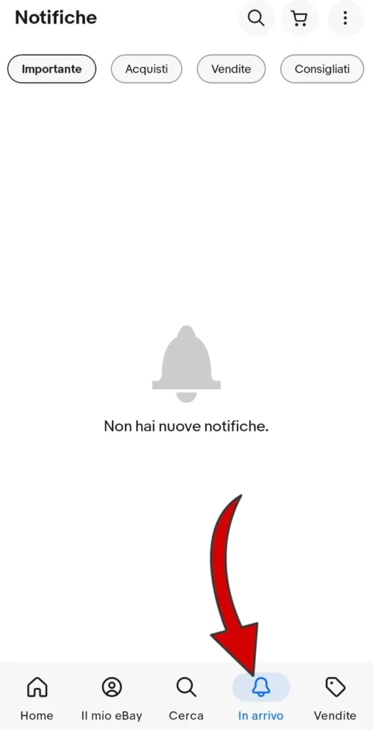 14 iscrizione da App - la quarta voce trovi le notifiche di ebay.