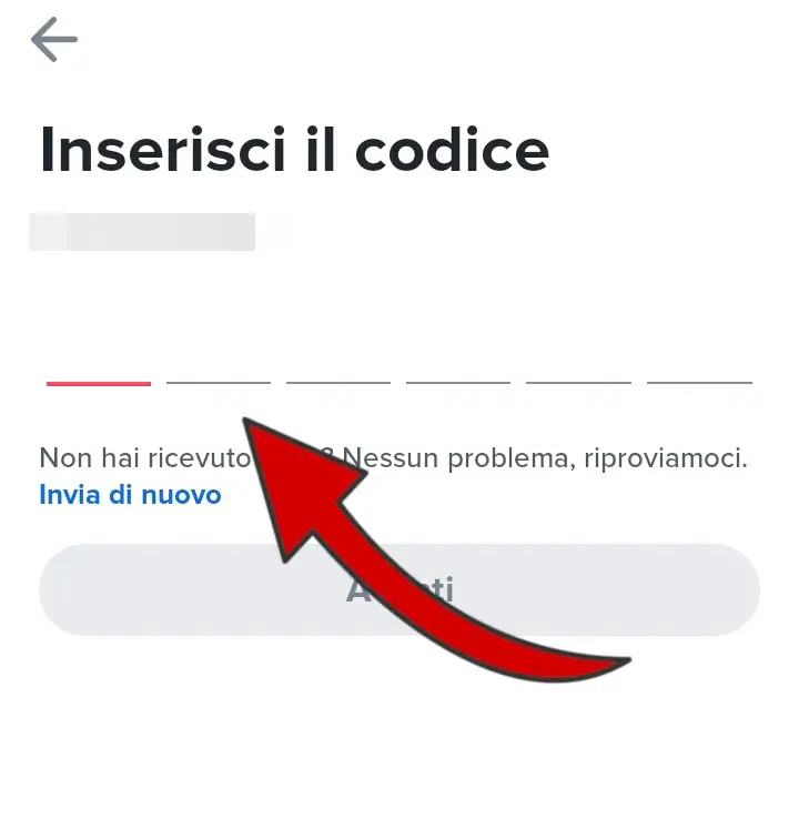 Inserisci il codice di verifica ricevuto al numero di telefono indicato