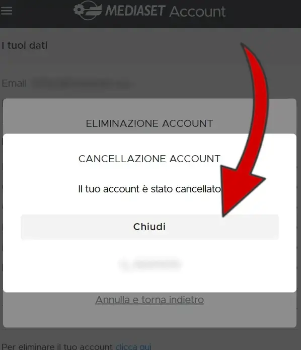 Visualizza la conferma di cancellazione del tuo account Mediaset