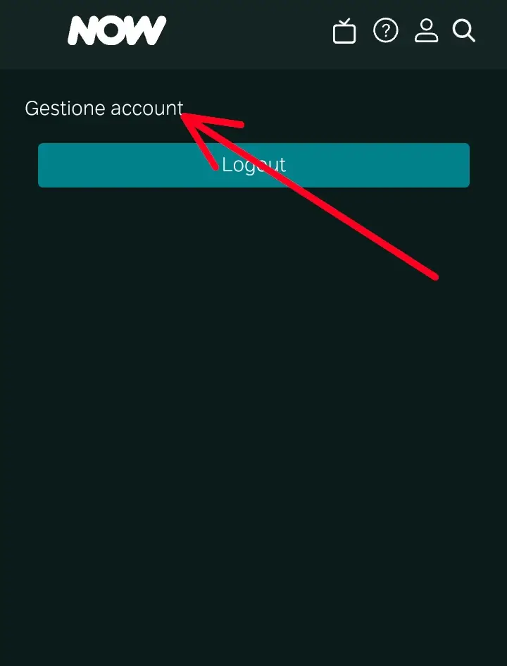 Dal menù che si apre, clicca su "Gestione account" per andare a vedere gli abbonamenti attivi.