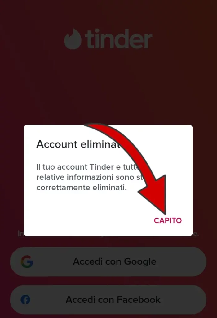 Ecco il messaggio di conferma della cancellazione dell'account Tinder.