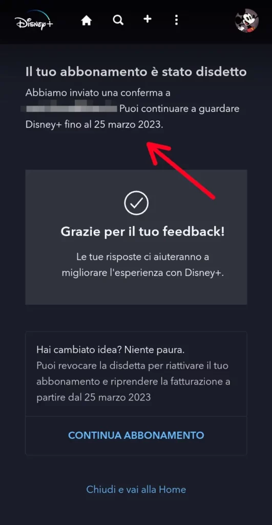 Visualizza la conferma della disdetta dell'abbonamento Disney.