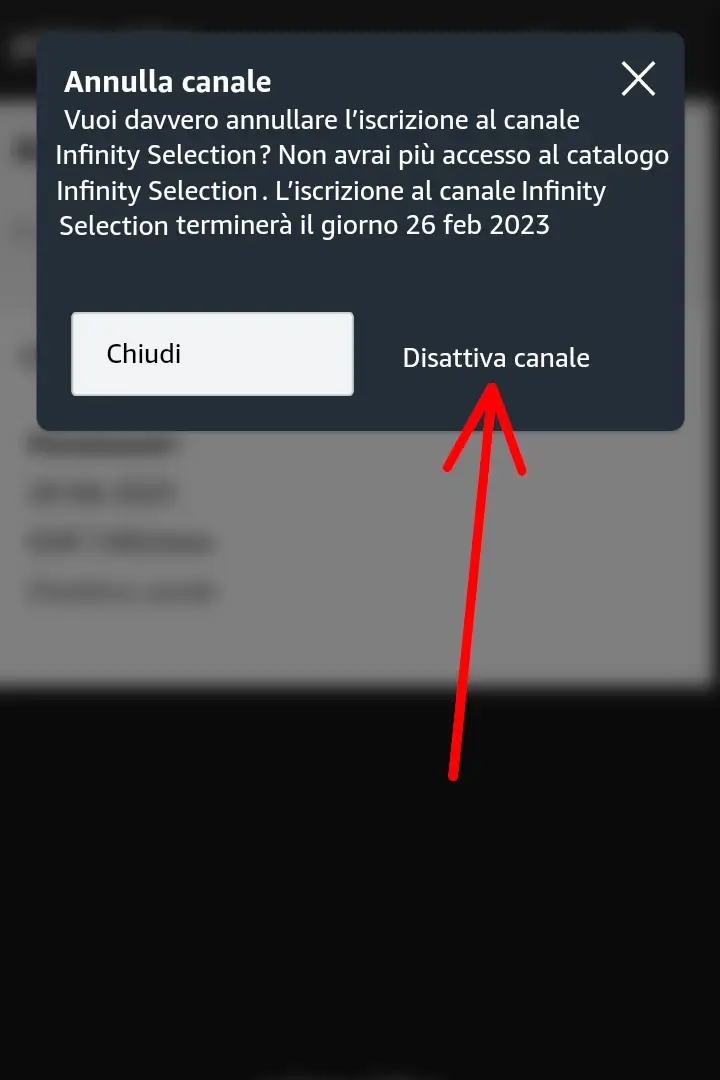 Passaggio 5 Clicca di nuovo su disattiva canale per conferma.