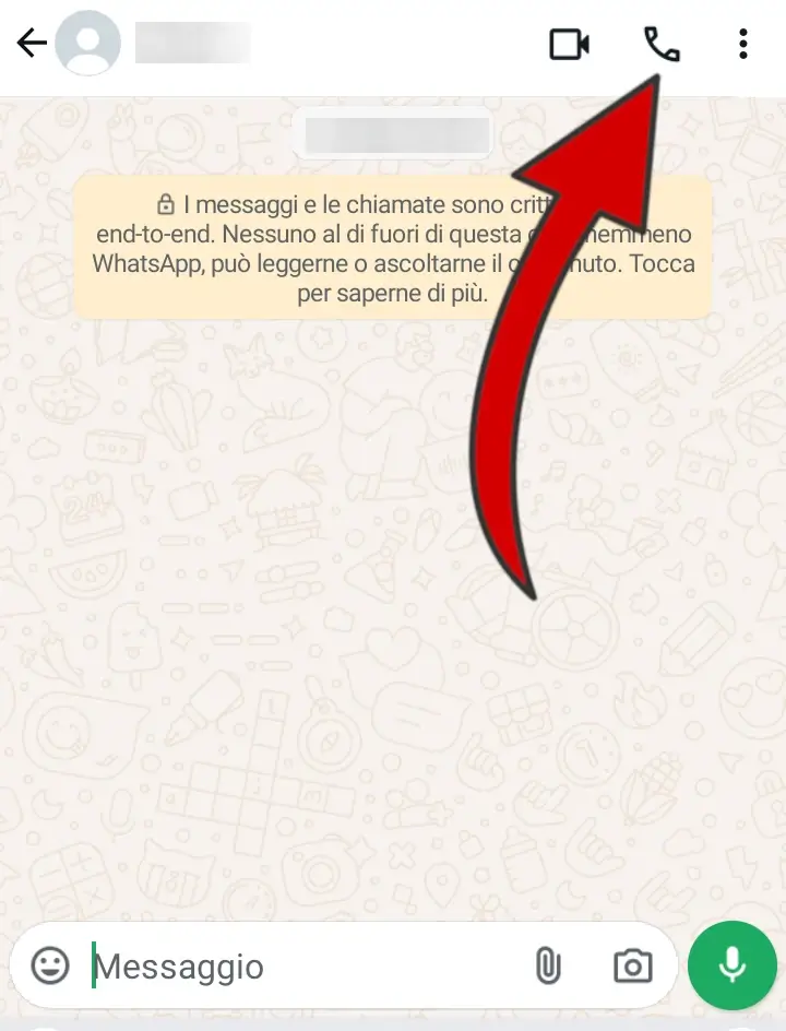 9 - puoi fare una chiamata su whatsapp cliccando il simbolo della cornetta.