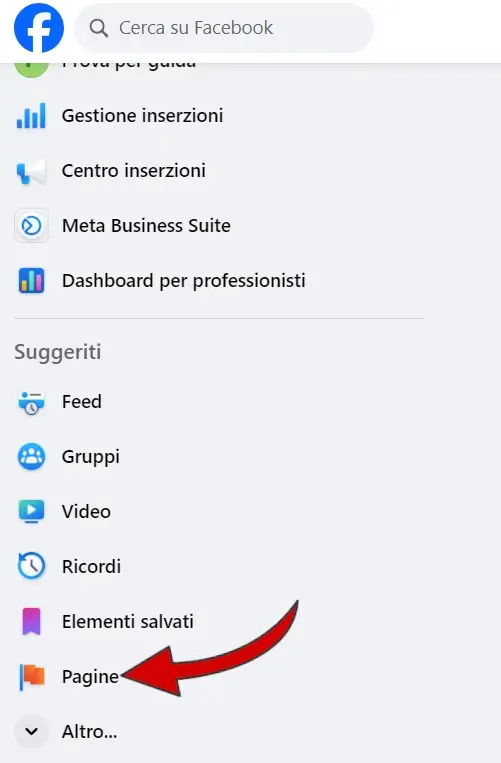 Dal computer, in home page, clicca su pagine dal menù di facebook di sinistra.