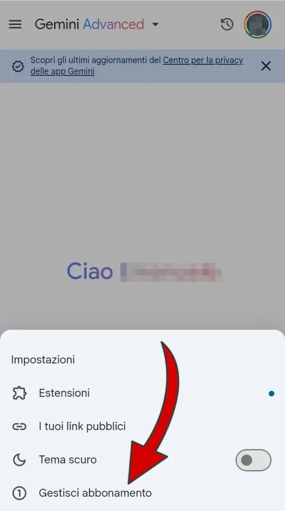 Clicca su Gestisci abbonamento per andare a pagamenti e abbonamenti di Google e disattivare advanced.