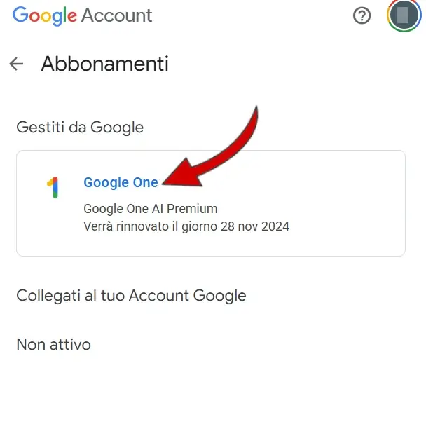 Tra gli abbonamenti, trova e clicca su Google One o Google one Ai premium.