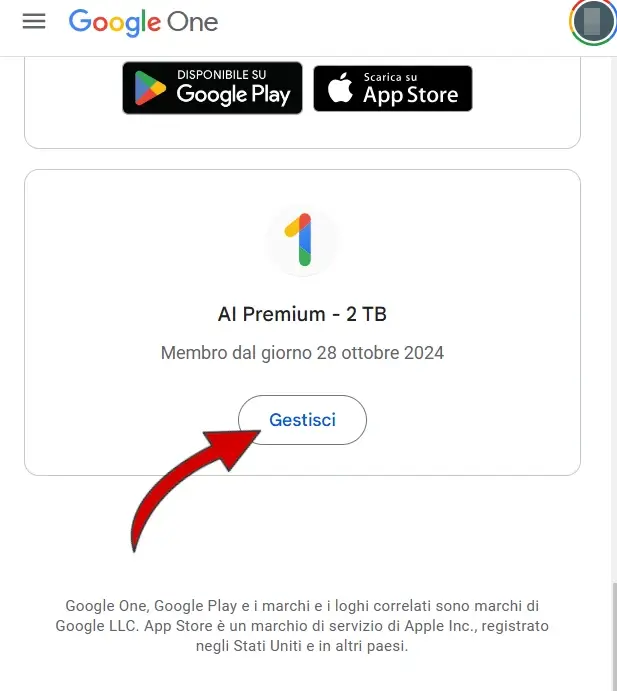 Verifica se è ancora attivo l'abbonamento a Google One o a AI Premium per Gemini Advanced.