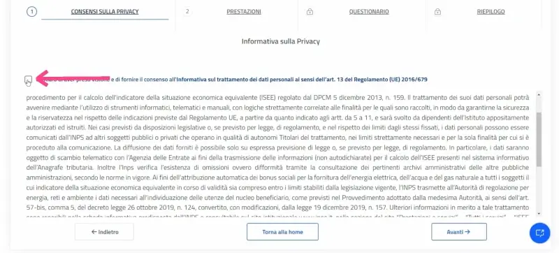 Passaggio 9 Seleziona il quadratino per accettare i termini e dare il consenso all'utilizzo dei dati.